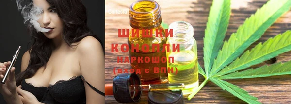 спайс Баксан