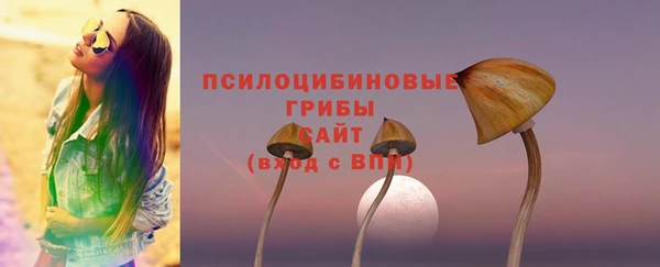спайс Баксан
