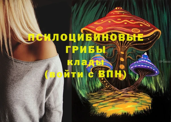 спайс Баксан